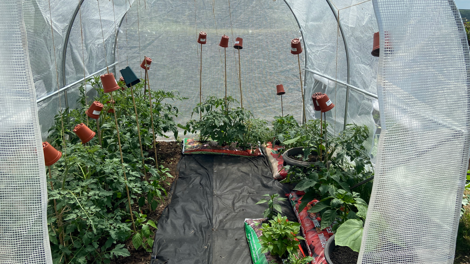 Poly Tunnel
