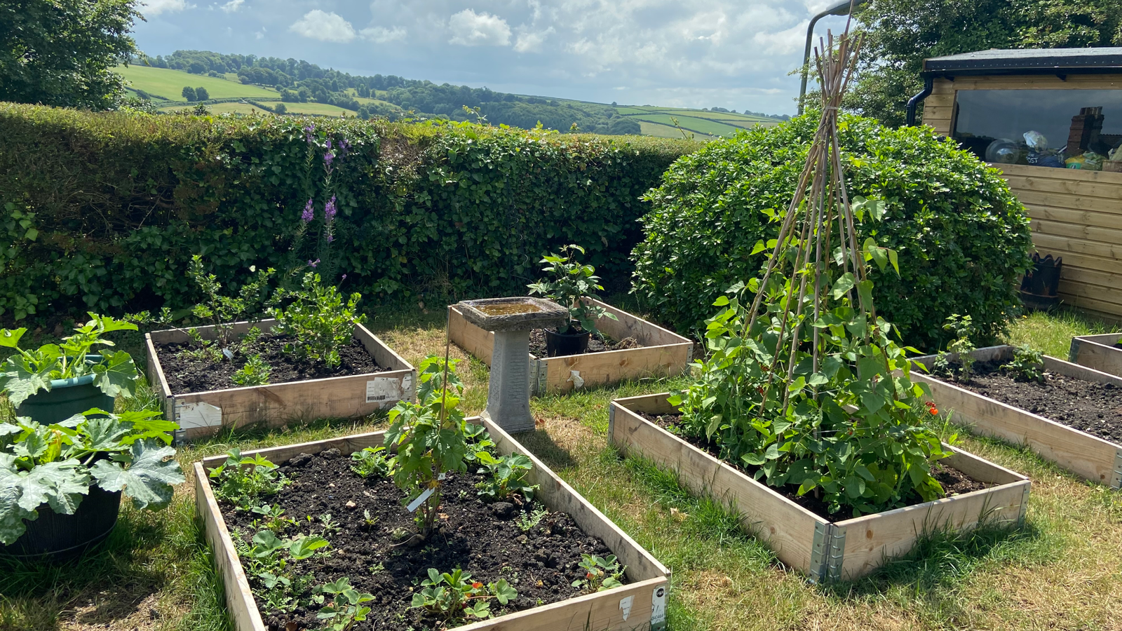 Raised flower beds